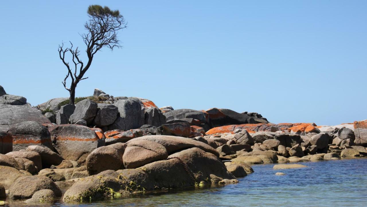 Bay Of Fires Seachange Ocean Frontage Binalong Bay Luaran gambar
